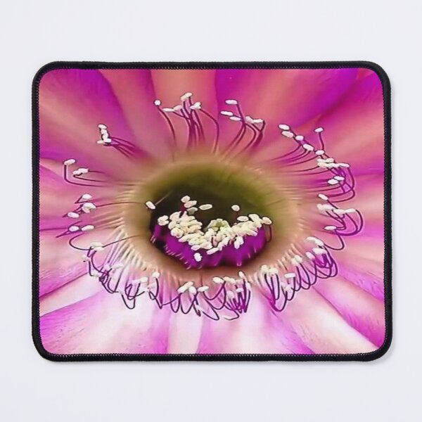 Item preview, Charming natural beauty, colorfulflowers, designed and sold by Emoelsalhy76.
