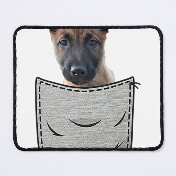 Item preview, Belgian Malinois Puppy Dog Lovers Mechelaar Pocket Owner designed and sold by unhdisoz.