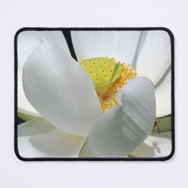 Item preview, Blossom Lotus designed and sold by Rainy.