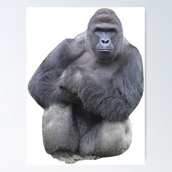 Item preview, Harambe The Gorilla designed and sold by zlapr.