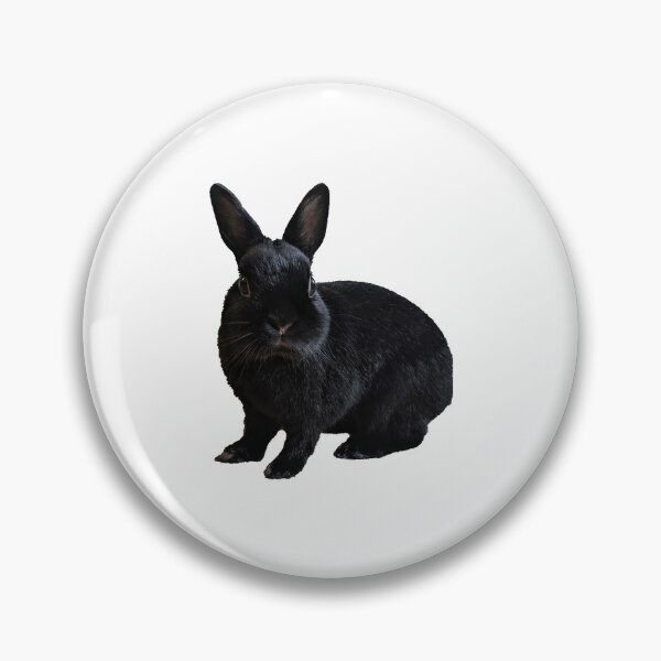 Item preview, Cute Black Rabbit designed and sold by misomomo.