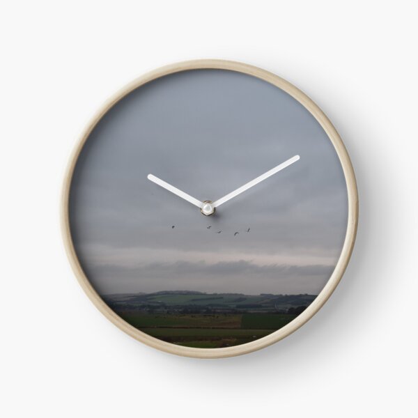 Gulls Above Salisbury Clock