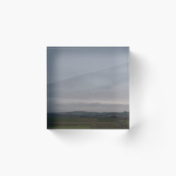 Gulls Above Salisbury Acrylic Block