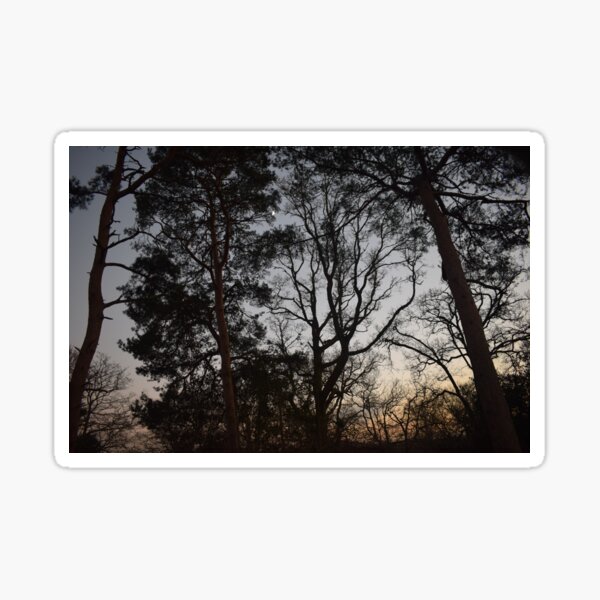 Half-Moon Over Sunset Sticker