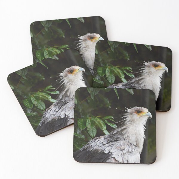 Item preview, secretary birb designed and sold by AnneVisscher.