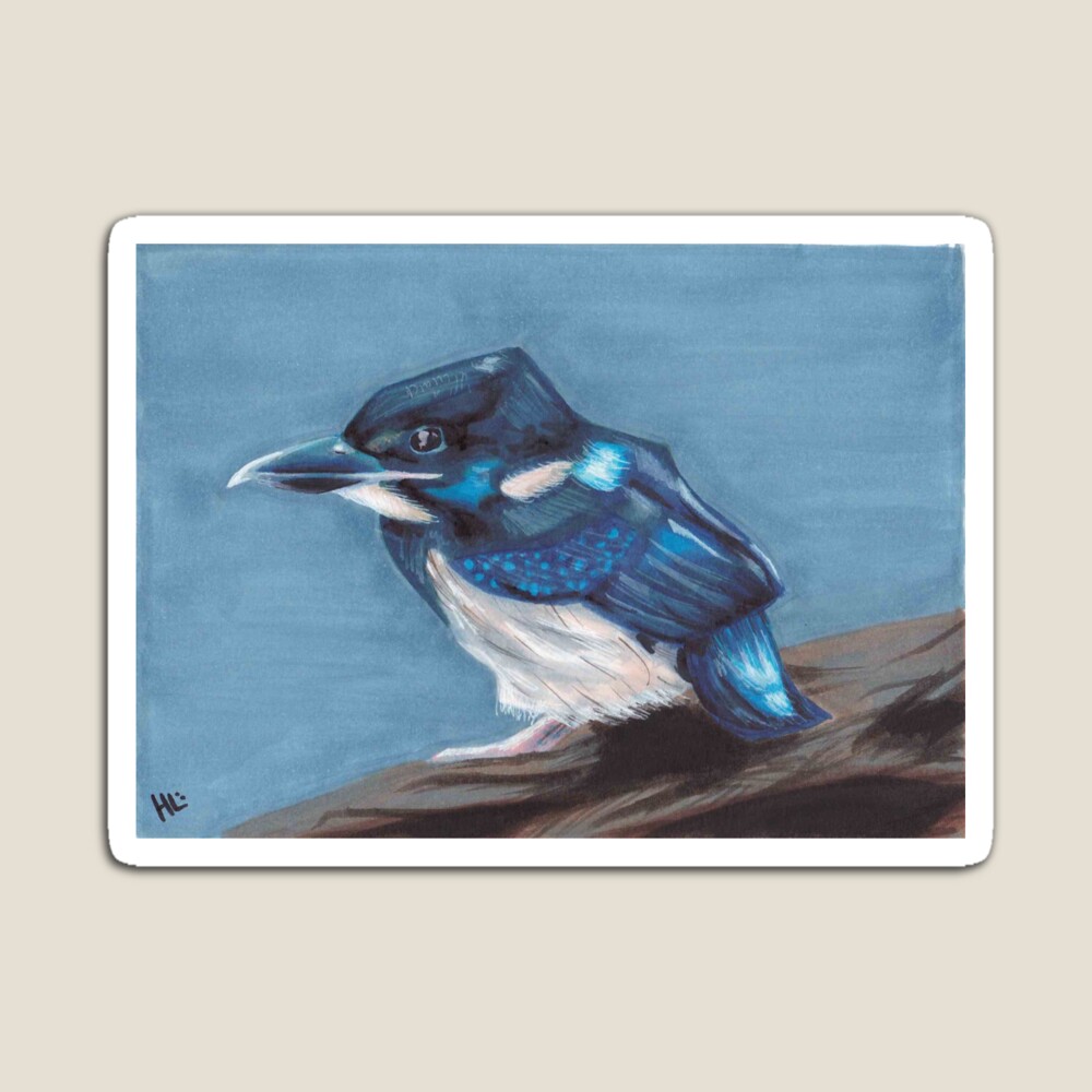 Belted Kingfisher -Signed Fine Art Print - inkart