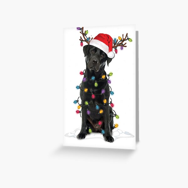 Item preview, Black Lab Labrador Christmas Tree Light Pajama Dog Xmas Gift Sweatshirt designed and sold by leminhc.