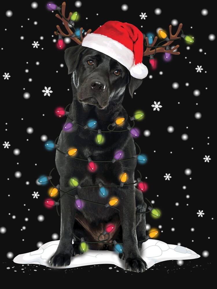 Dog Christmas Labrador Christmas Pajamas Pet Pajamas Black Lab