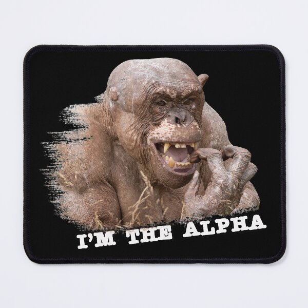 Item preview, Hairless Chimpanzee designed and sold by rawshutterbug.