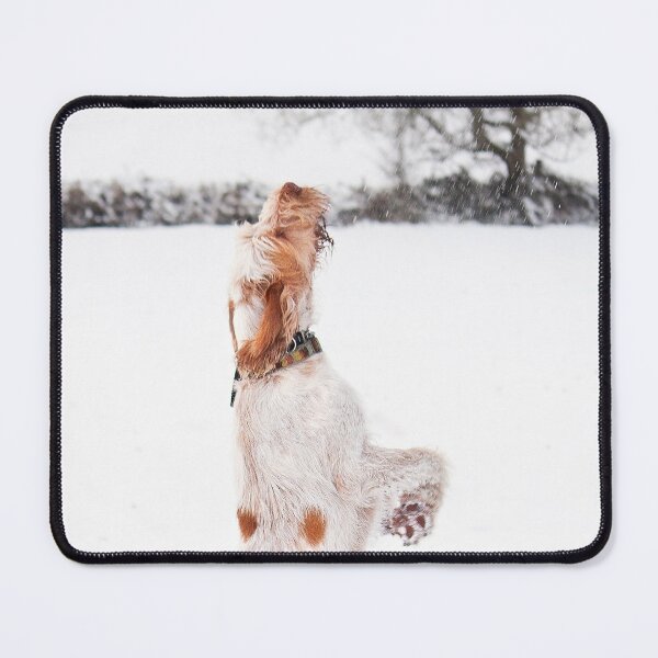 Item preview, Snow Catching Spinone by heidiannemorris designed and sold by FOLK ART FUSION by heidiannemorris.