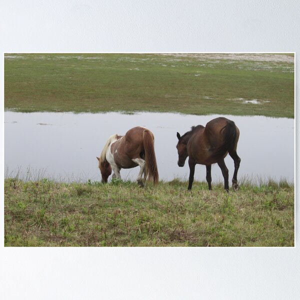 Item preview, Chincoteague Ponies at Watering Hole designed and sold by WhiteCatPhoto.
