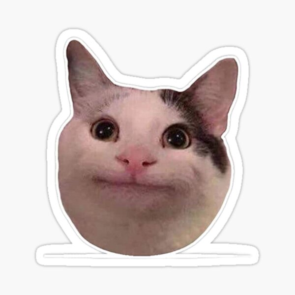 stare_cat - Discord Emoji