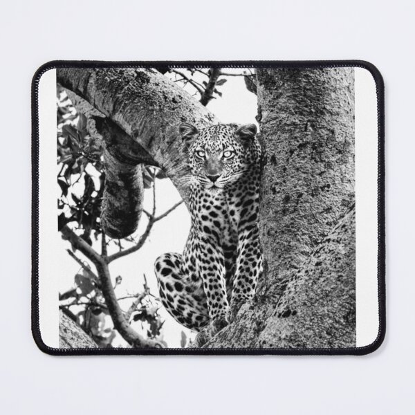 Item preview, The Leopard Sits in Wait in Black and White designed and sold by Kay Brewer.