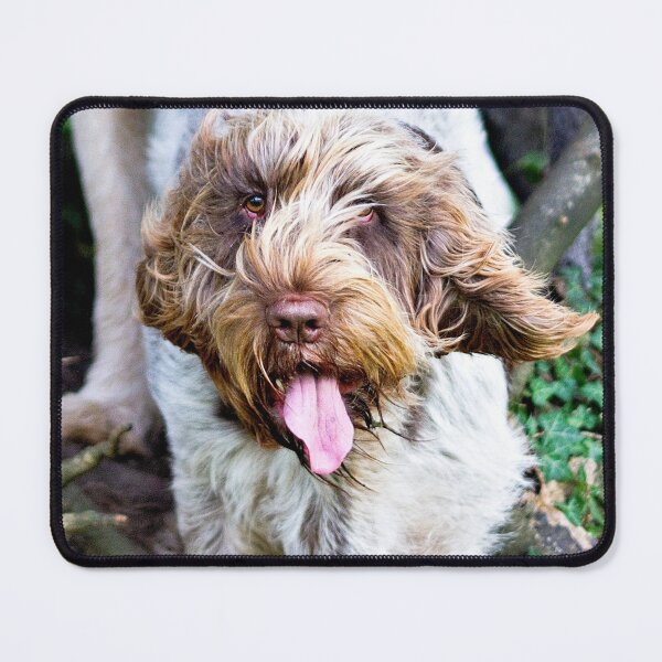 Item preview, Spinoni And German Wirehaired Pointer Woodland Adventure by heidiannemorris designed and sold by FOLK ART FUSION by heidiannemorris.
