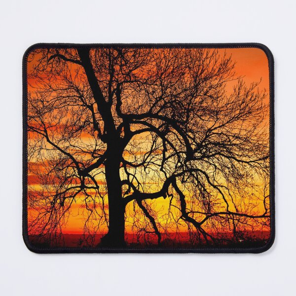 Item preview, Orange Ash Tree Sunset Silhouette  designed and sold by FOLK ART FUSION.
