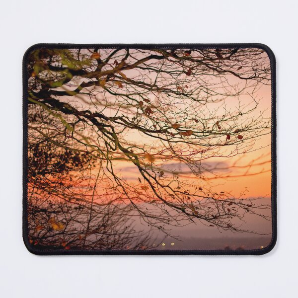 Item preview, Orange Beech Tree Sunset designed and sold by FOLK ART FUSION by heidiannemorris.