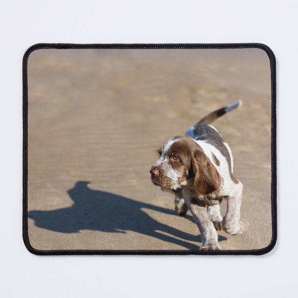 Item preview, Shadow Spinone designed and sold by FOLK ART FUSION by heidiannemorris.