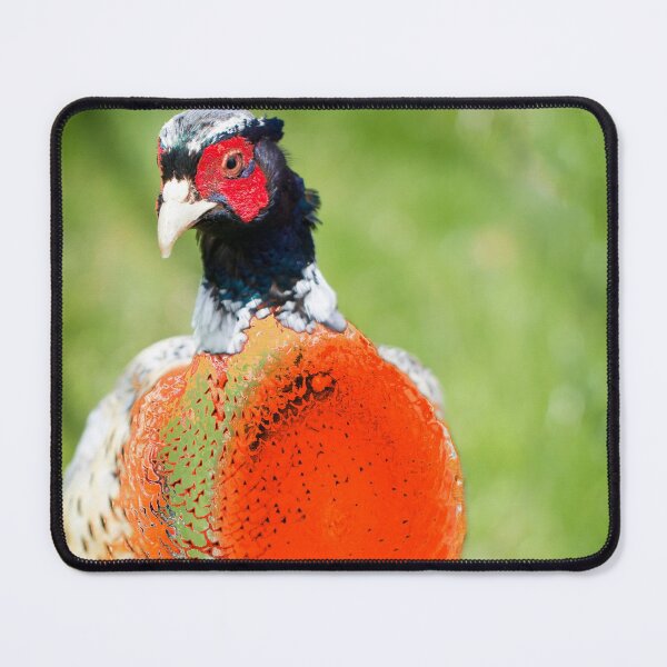 Item preview, The Pleasant Orange Pheasant  designed and sold by FOLK ART FUSION by heidiannemorris.