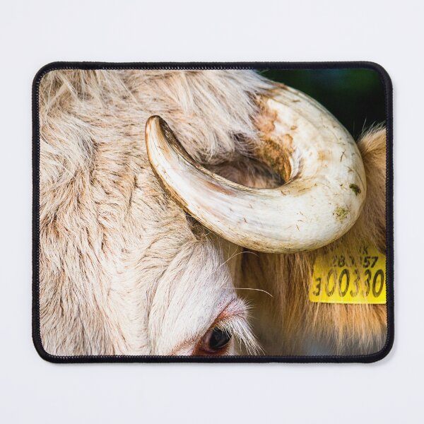 Item preview, Cow Horn designed and sold by FOLK ART FUSION by heidiannemorris.