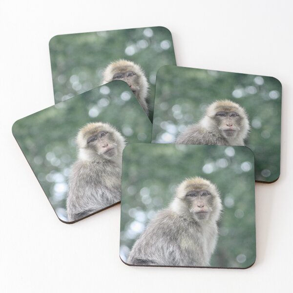 Item preview, Barbary Macaque designed and sold by kew-photography.