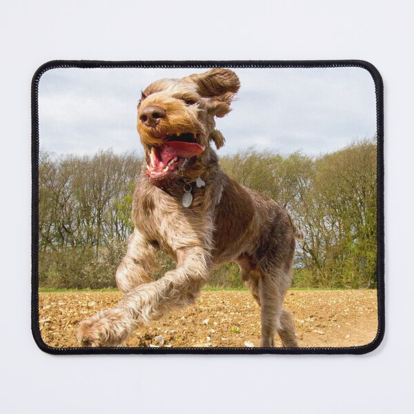 Item preview, Galloping with flying tongue Spinone designed and sold by FOLK ART FUSION by heidiannemorris.