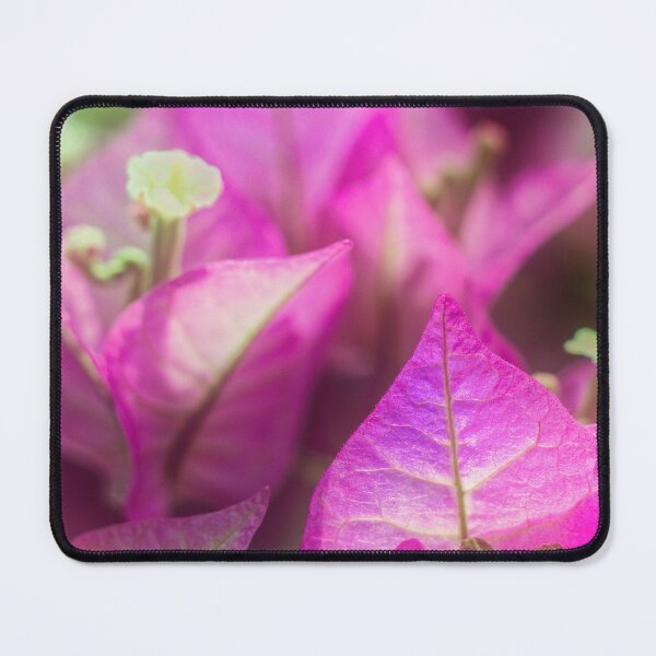 Item preview, Pink Bougainvillea Flowers designed and sold by FOLK ART FUSION by heidiannemorris.