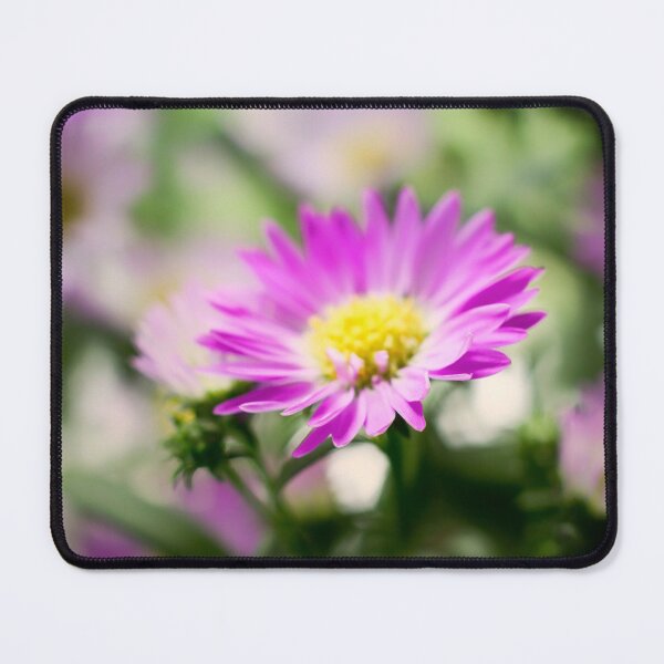 Item preview, Aster Daisy designed and sold by FOLK ART FUSION by heidiannemorris.