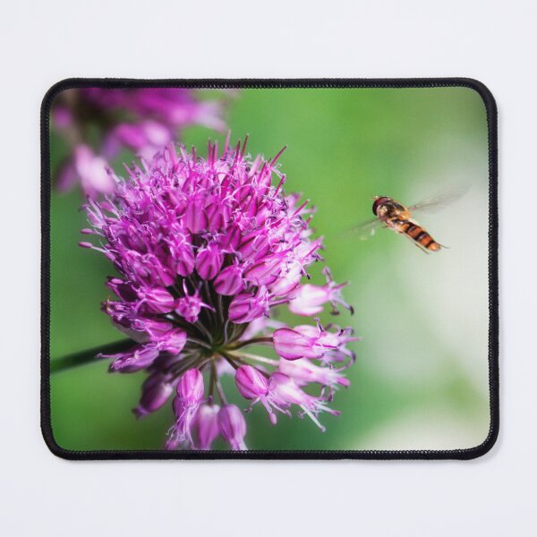 Item preview, Chive Flower and Hover Fly designed and sold by FOLK ART FUSION by heidiannemorris.