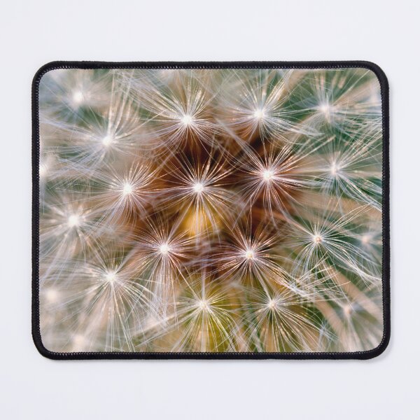 Item preview, Dandelion Seed Head by heidiannemorris designed and sold by FOLK ART FUSION by heidiannemorris.