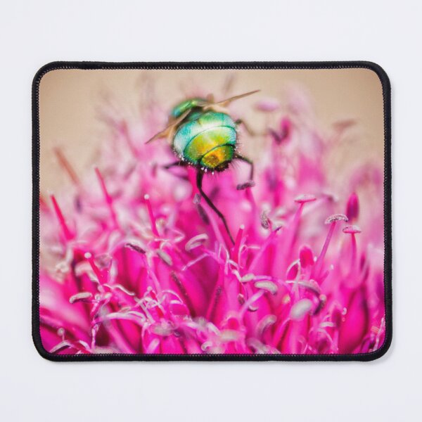 Item preview, Green Bottle Fly designed and sold by FOLK ART FUSION by heidiannemorris.