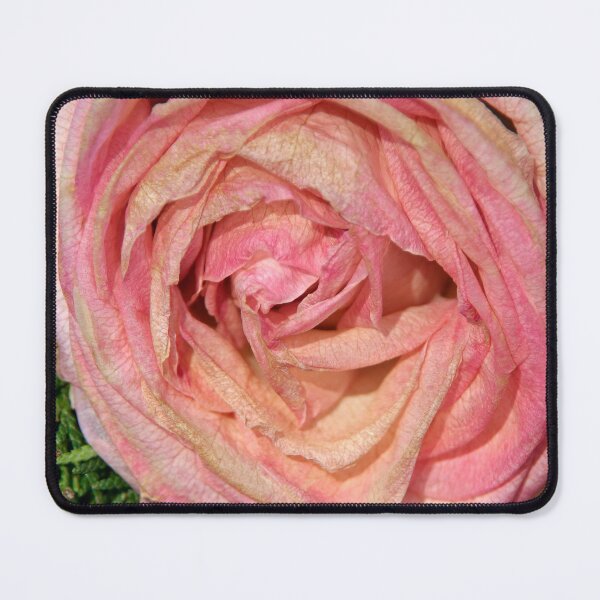 Item preview, Fading designed and sold by Calidris Fotografie Steffi & Ben Köppler.