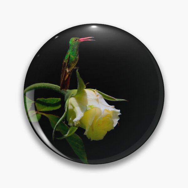 Item preview, Singing The Praises Of Roses designed and sold by alabca.