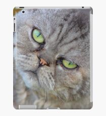 Feline iPad Case/Skin