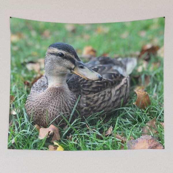 Item preview, Duck Duck designed and sold by KMHPhotography.