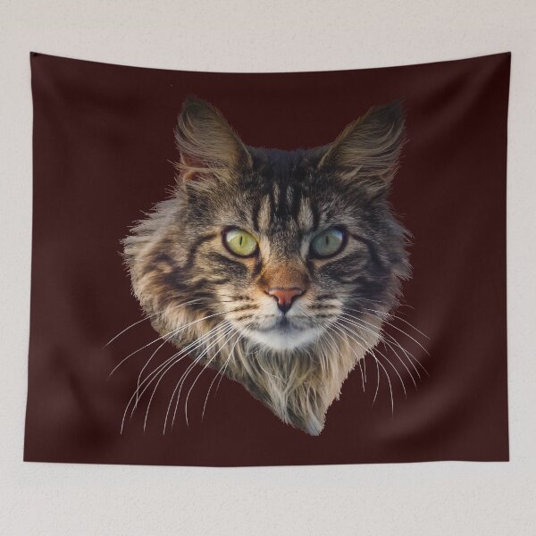 Item preview, MAINE COON CAT designed and sold by Danicus666.