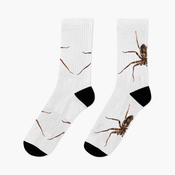Item preview, spider-Polygonal animals designed and sold by Hartics.