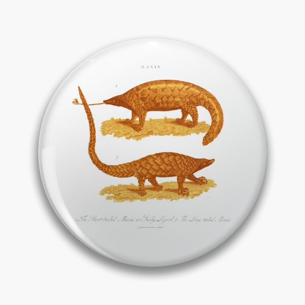 Item preview, Antique Georgian 19th Century Engraving illustration lizard pangolin print designed and sold by CoreImaging.