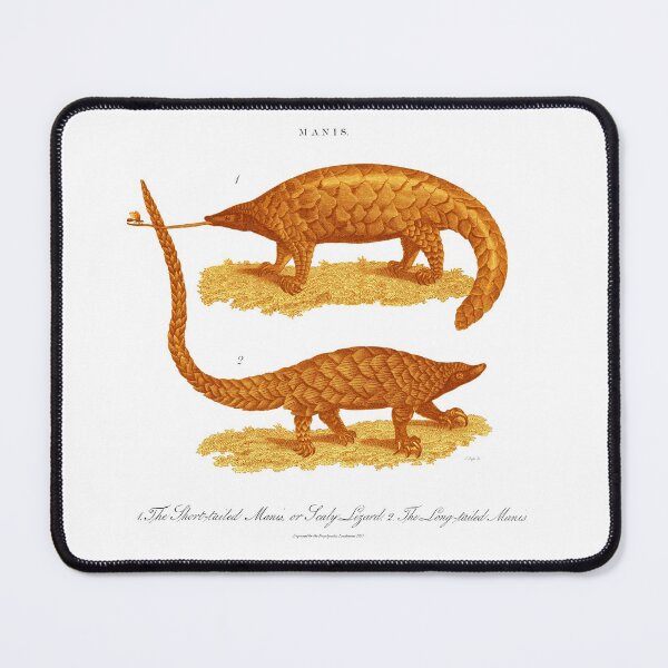 Item preview, Antique Georgian 19th Century Engraving illustration lizard pangolin print designed and sold by CoreImaging.