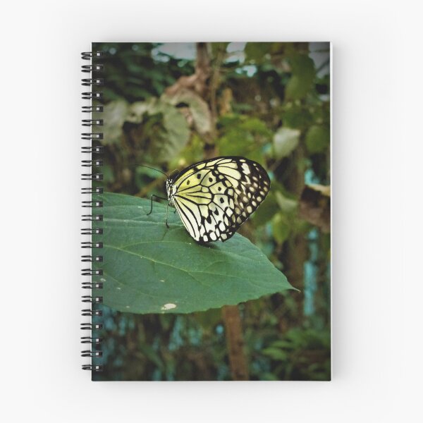 Item preview, Singapore Butterfly designed and sold by Travelbugella .