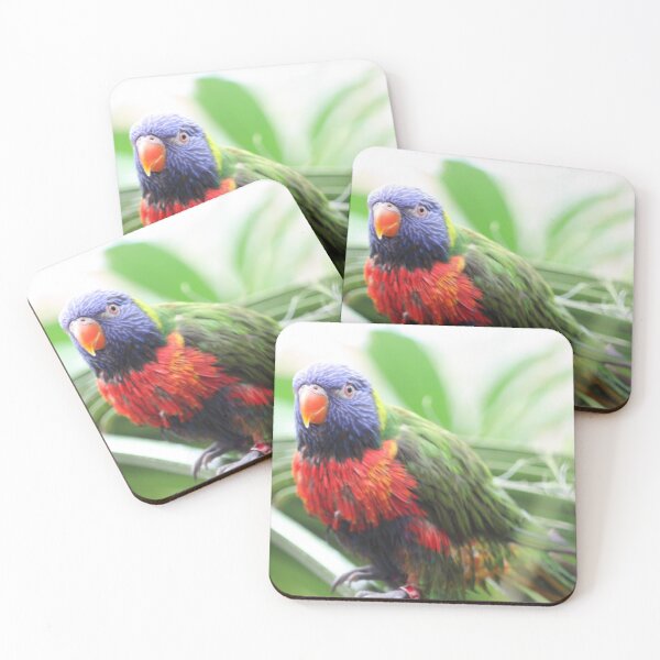 Item preview, Rainbow Lorikeet designed and sold by kew-photography.