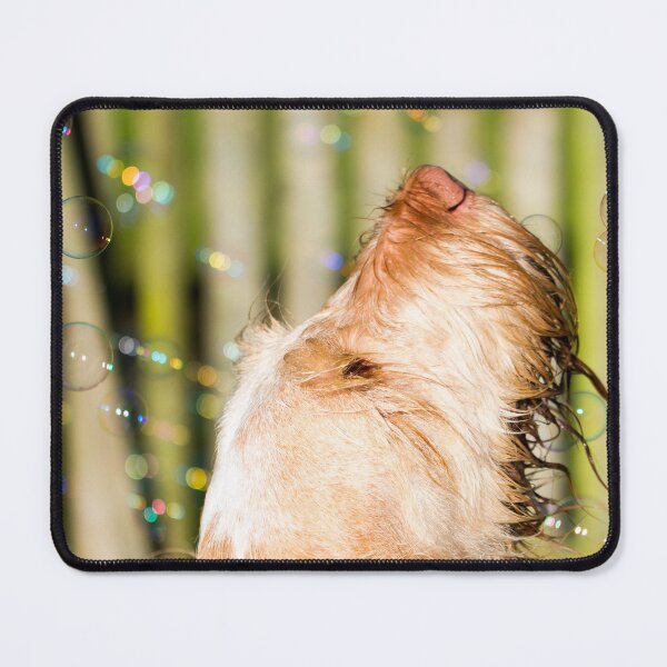 Item preview, Where do thoughts come from Spinone designed and sold by FOLK ART FUSION.