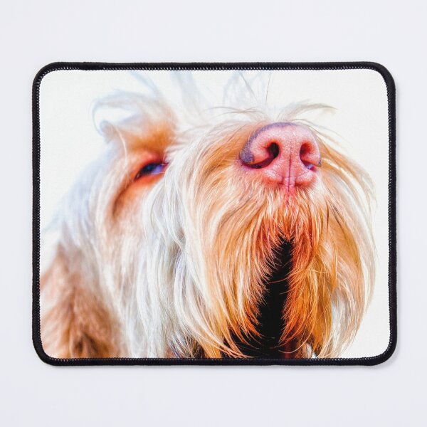 Artikelvorschau, Sprechen Spinone entworfen und verkauft von FOLK ART FUSION.