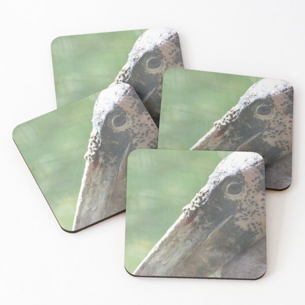 Item preview, Marabou Stork designed and sold by kew-photography.