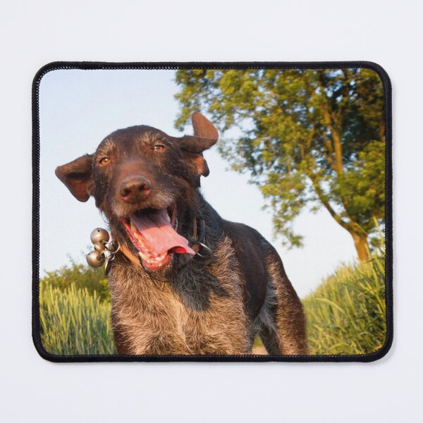 Item preview, Happy German Wirehaired Pointer running designed and sold by FOLK ART FUSION by heidiannemorris.