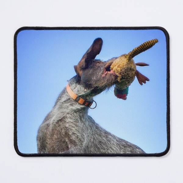 Item preview, German Wirehaired Pointer catches toy designed and sold by FOLK ART FUSION by heidiannemorris.