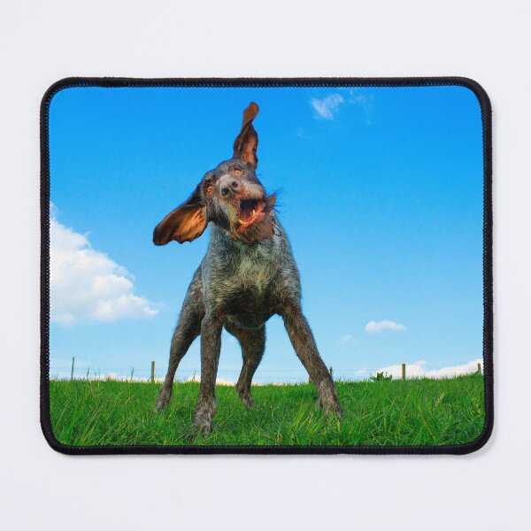 Item preview, Crazy happy German Wirehaired Pointer  designed and sold by FOLK ART FUSION by heidiannemorris.