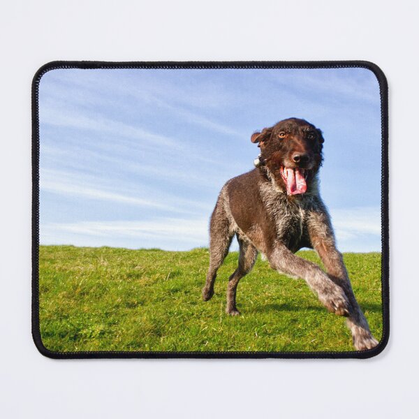 Item preview, Super happy German Wirehaired Pointer Fly-by designed and sold by FOLK ART FUSION by heidiannemorris.