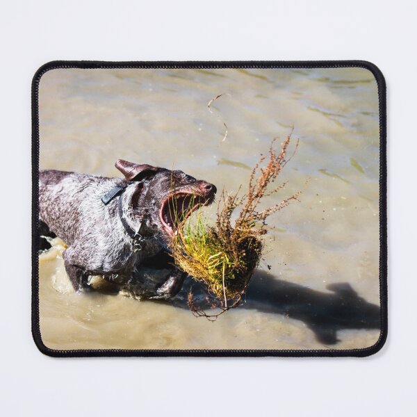 Item preview, German Wirehaired Pointer playing in a river designed and sold by FOLK ART FUSION by heidiannemorris.