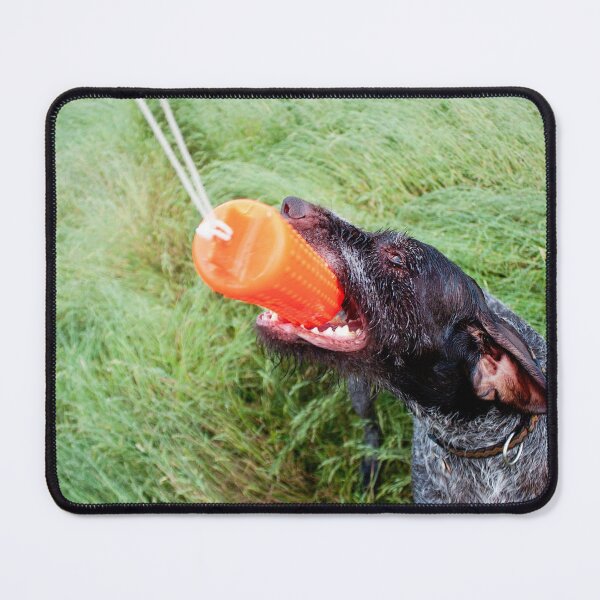 Item preview, German Wirehaired Pointer with orange dummy designed and sold by FOLK ART FUSION by heidiannemorris.
