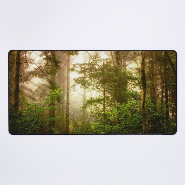 Item preview, Peace and tranquillity in a foggy wood by heidiannemorris © designed and sold by FOLK ART FUSION by heidiannemorris.